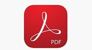 BadouCMS访问PDF文件时作为文件下载而不进行预览配置