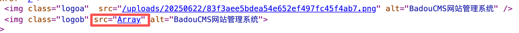 BadouCMS网站logo2无法显示 BadouCMS网站logo2无法显示